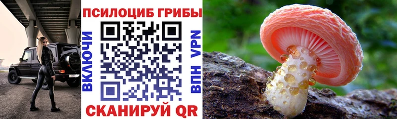 Галлюциногенные грибы Psilocybine cubensis  Байкальск 